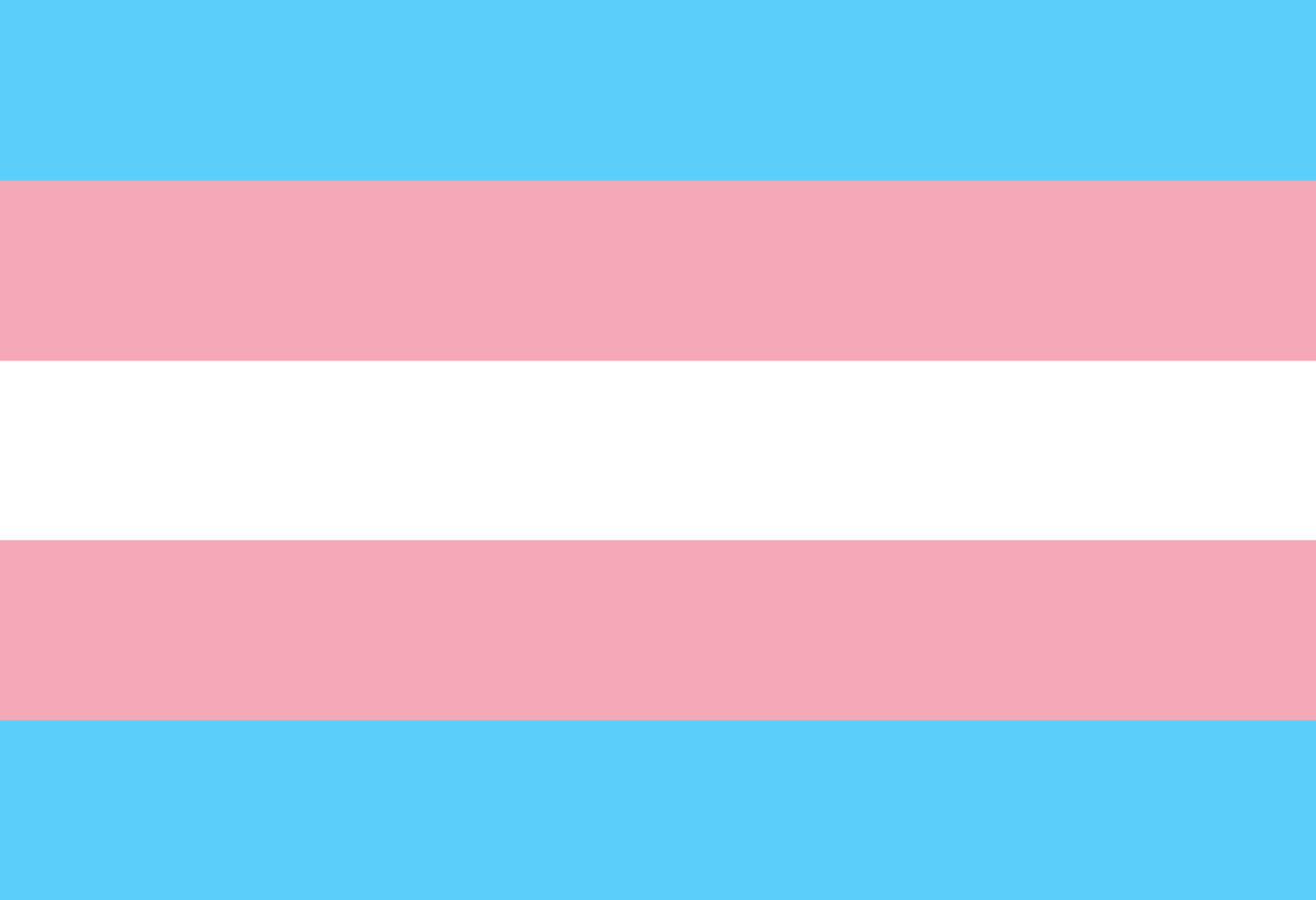 Ser y pertene… ser trans