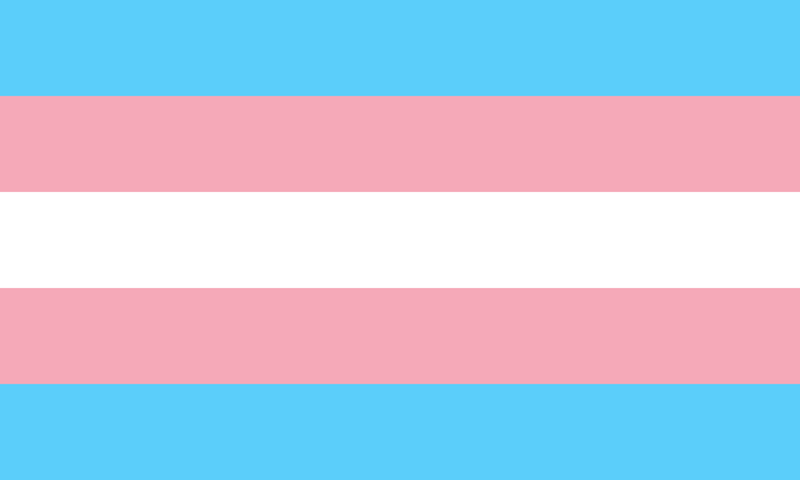 Ser y pertene… ser trans