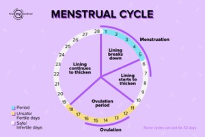 Mentruation cycle safe days unsafe days fertile days infertile days period days